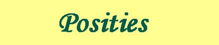 Positie en planning van de Lady Amalia